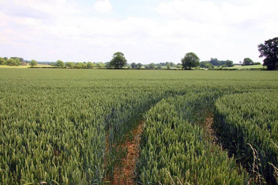 Bahçeşehir satılık arsa